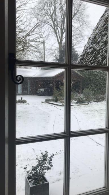 Winterborne Lodge ブランドフォード・フォーラム エクステリア 写真